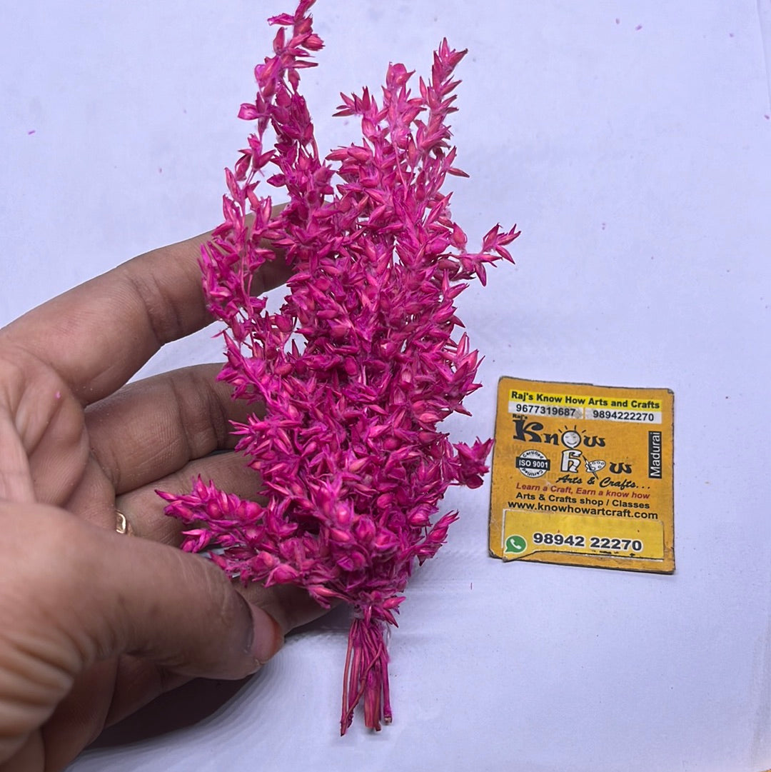 Dry flower pink 5pc in a pack