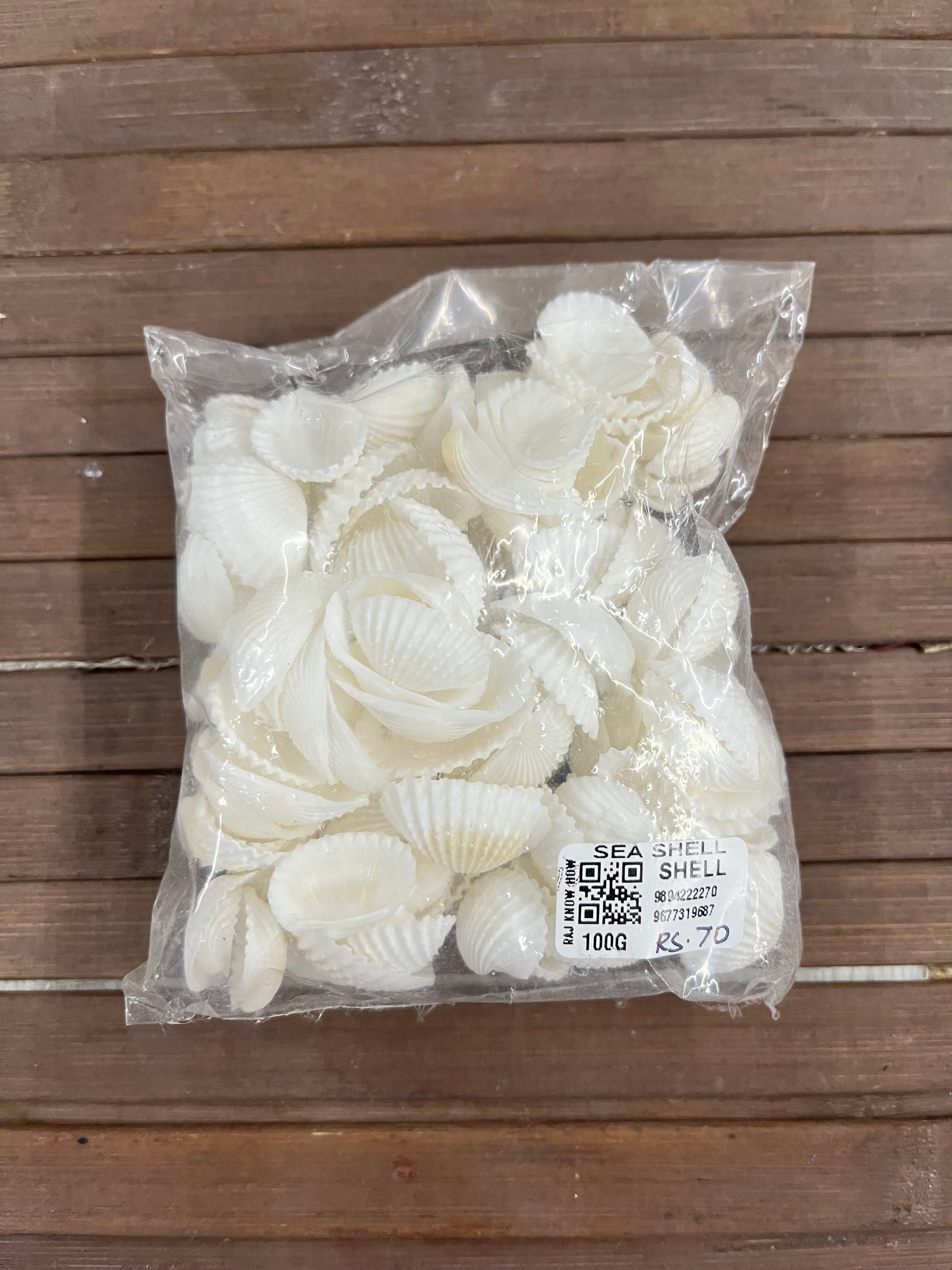 Chippi Shell Chippi sea shell 100g pack – KnowHowArtCraft