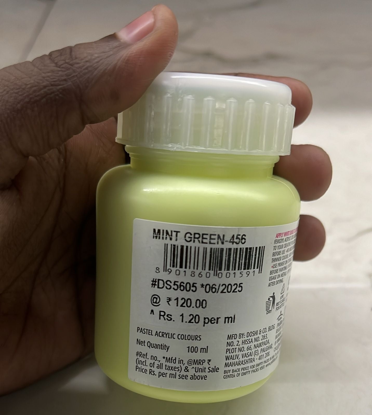 Fevicryl pastel acrylic colours mint green 100ml -1pack