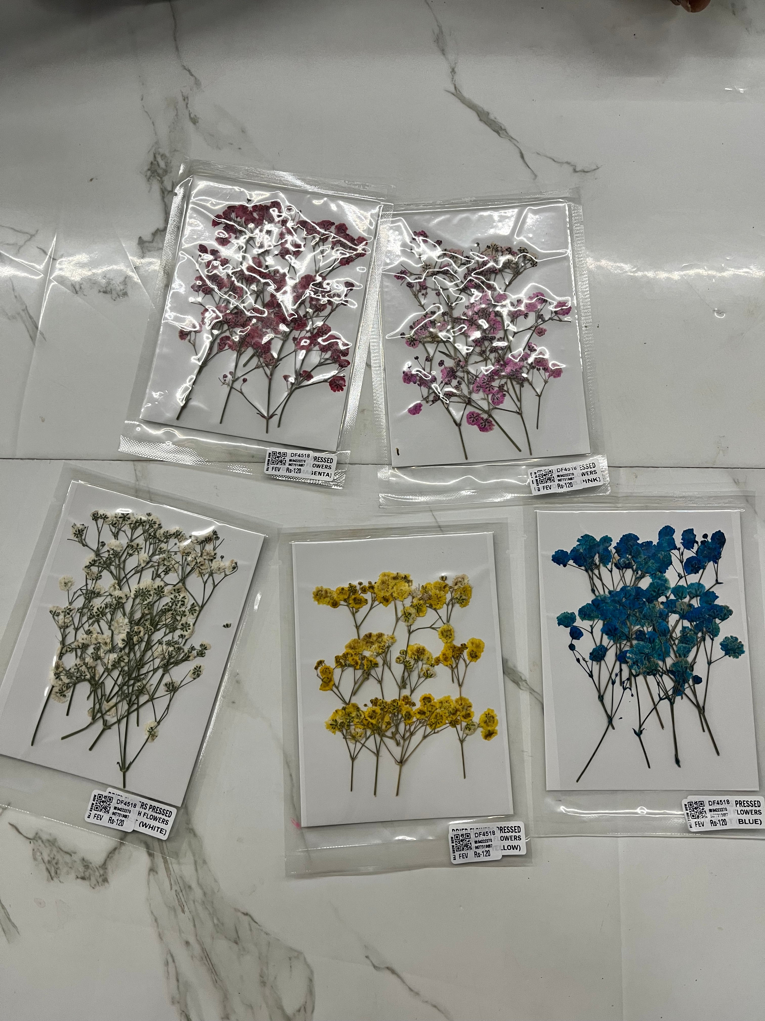 DRY FLOWER MINIATURE any 5 flowers kit-DF4518