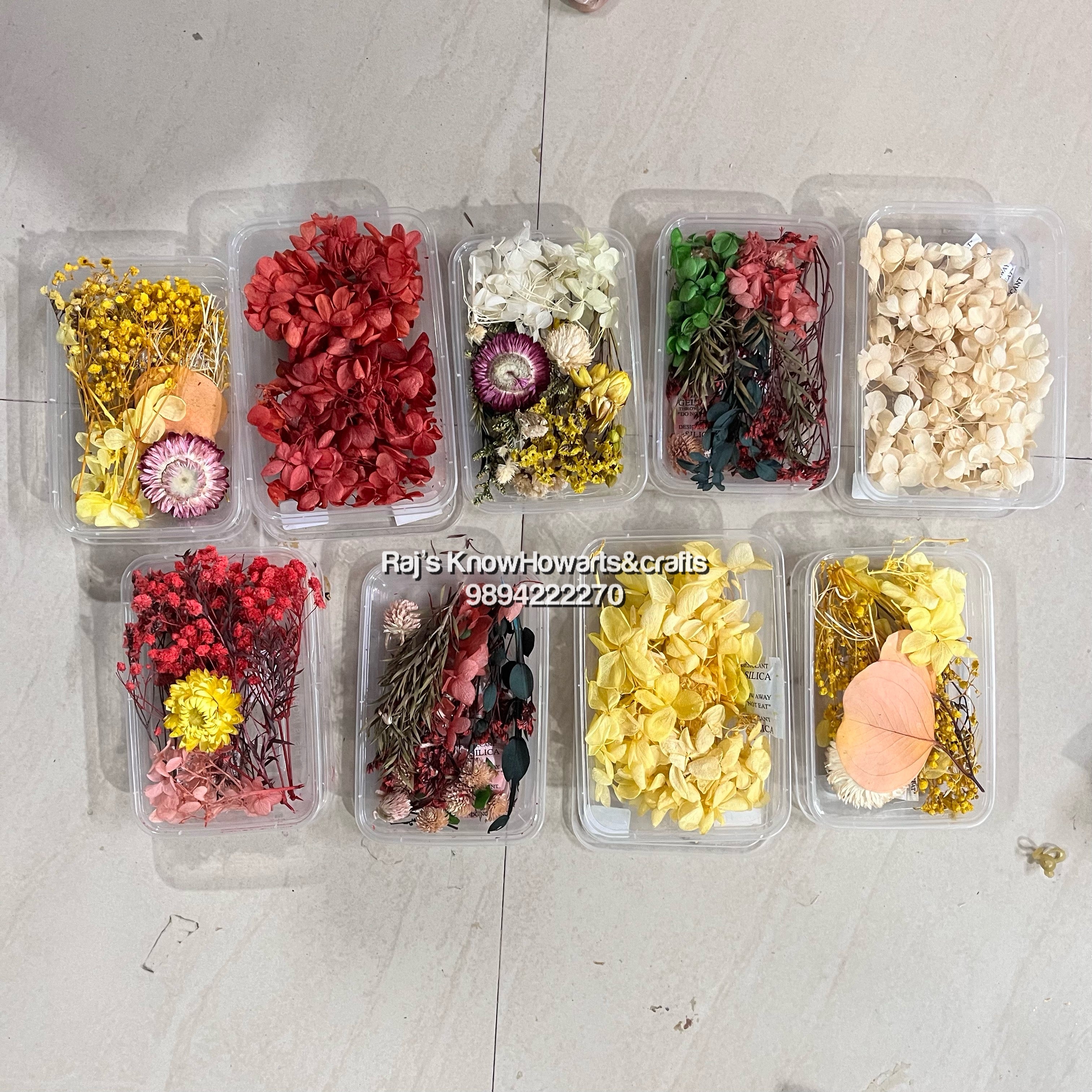 Assorted Dry flower colours - 1 pc