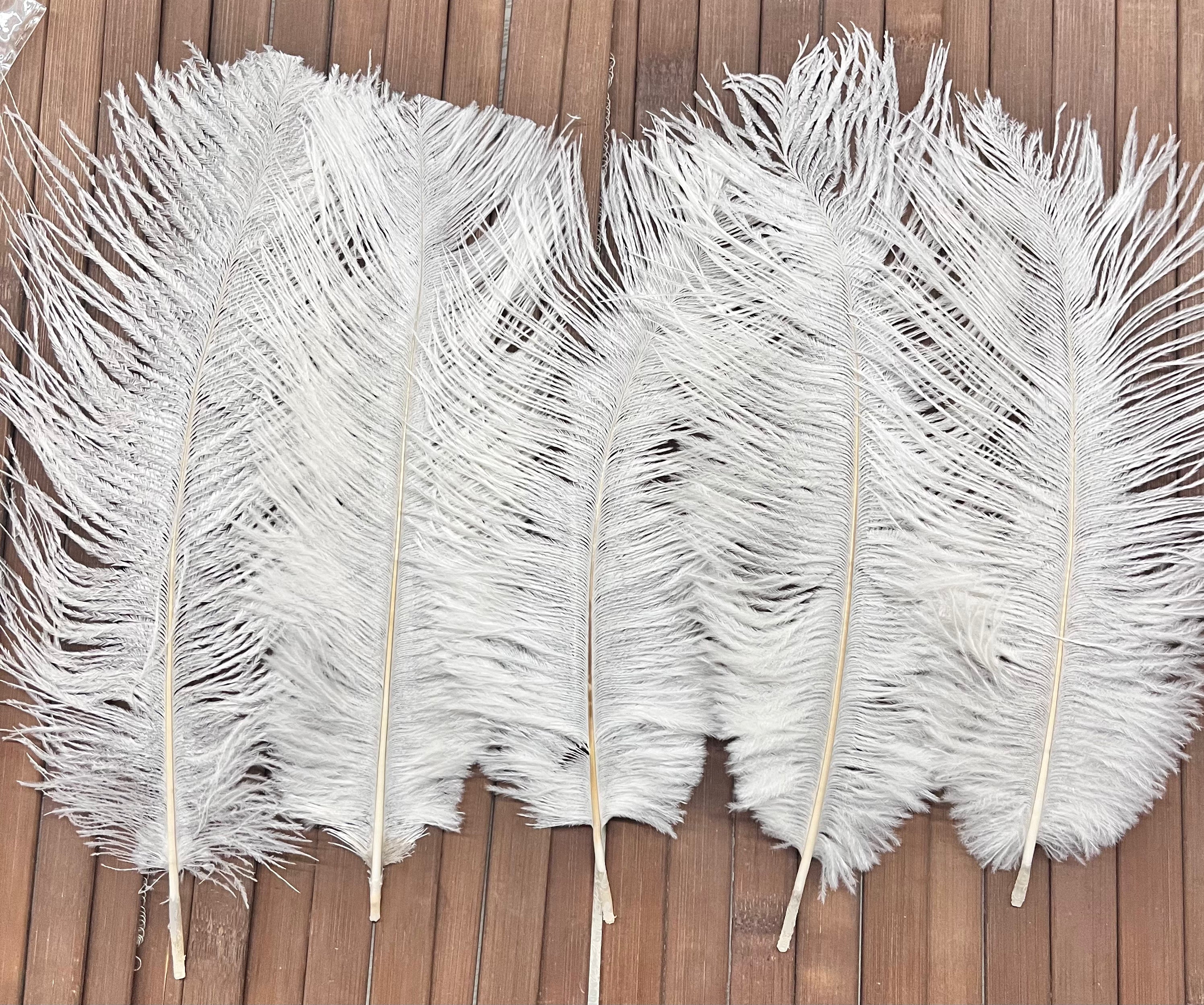 Artificial Ostrich Feather midum 5piece pack
