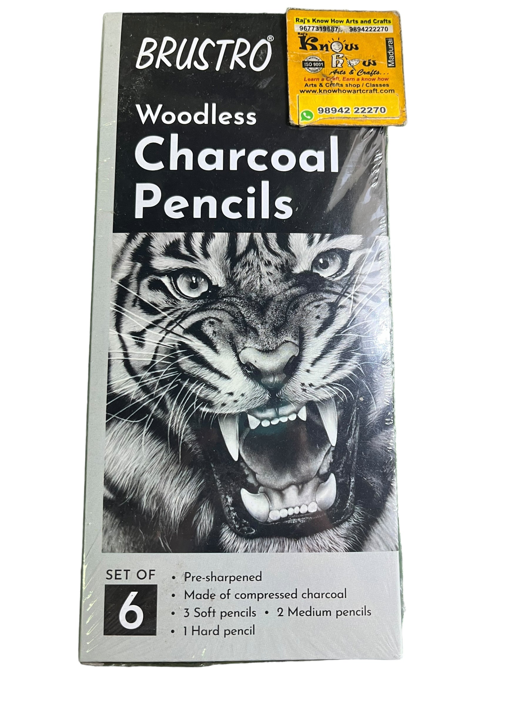 Brustro Woodless Charcoal Pencils - set of 6