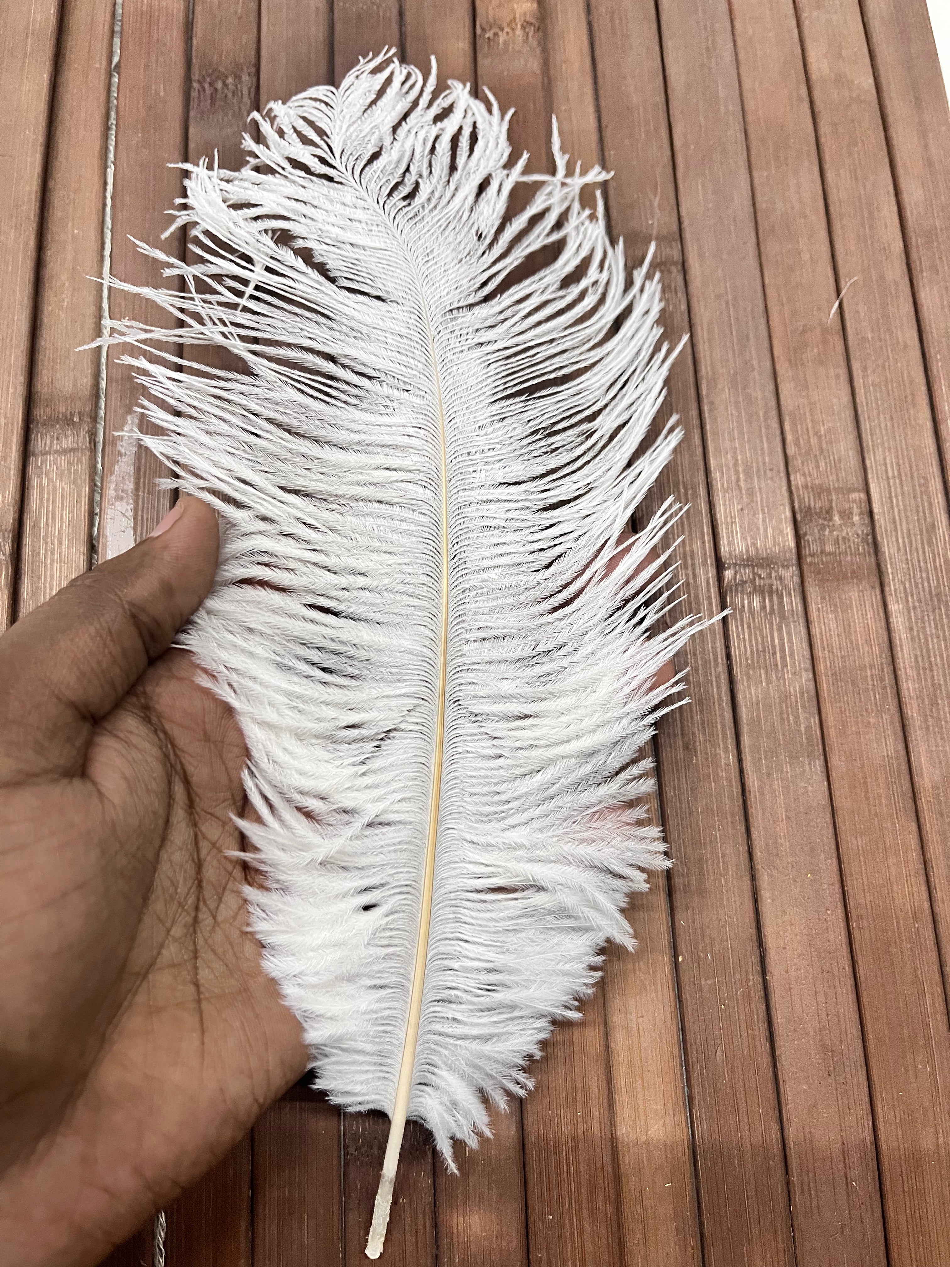Artificial Ostrich Feather midum 5piece pack
