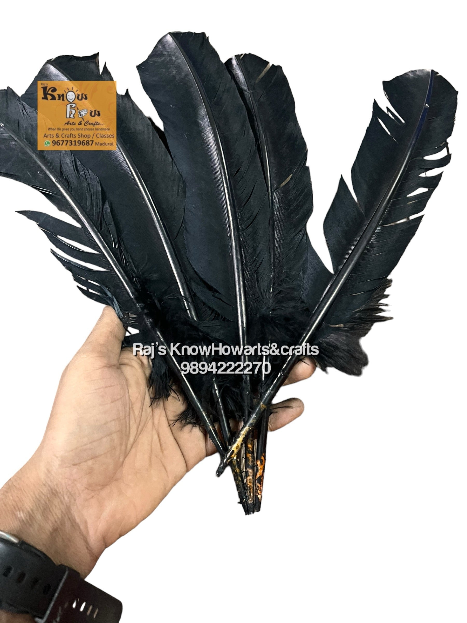 Black feather