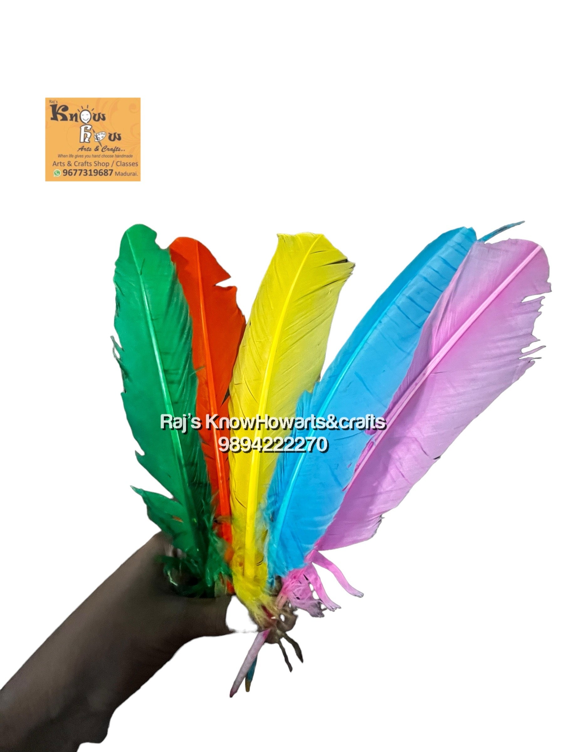 Multi colour feather