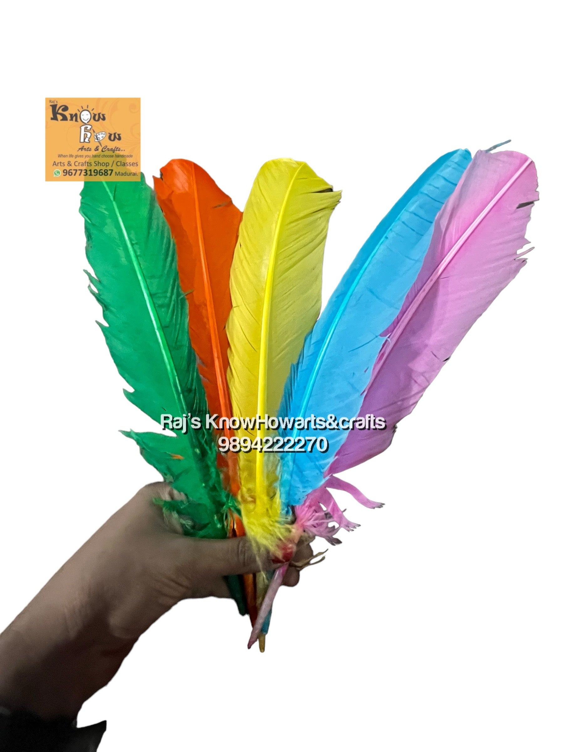 Multi colour feather