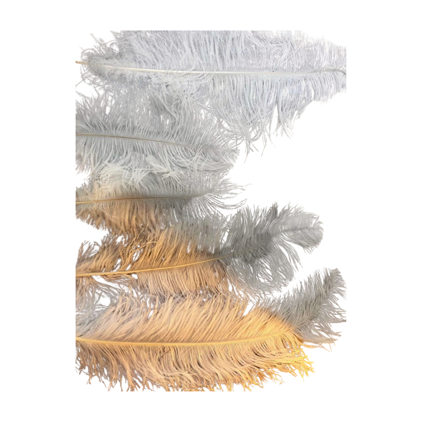 Artificial Ostrich Feather for craft project in centimeter 1piece