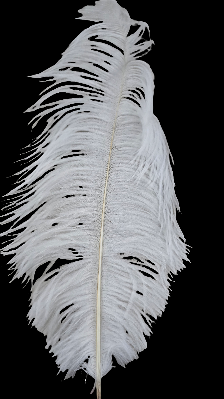 Artificial Ostrich Feather big 1 piece