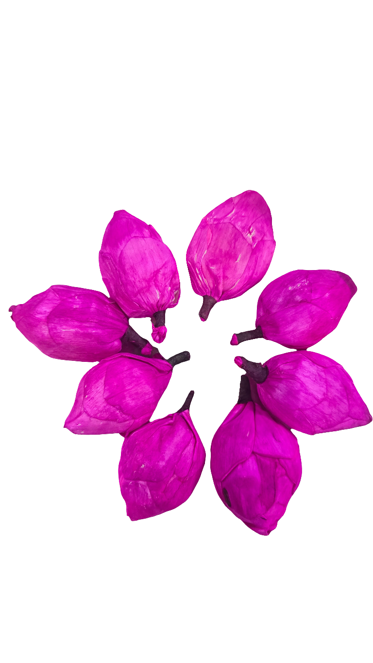 Lotus bud  thermocol-10 piece pack