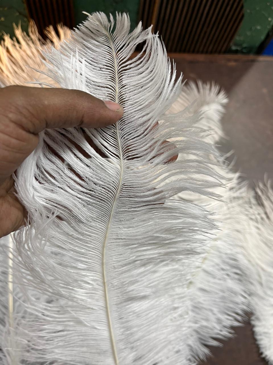 Artificial Ostrich Feather for craft project in centimeter 1piece