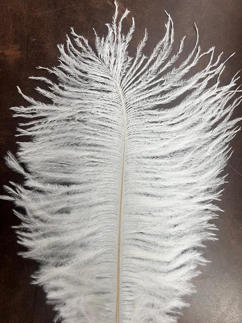 Artificial Ostrich Feather for craft project in centimeter 1piece