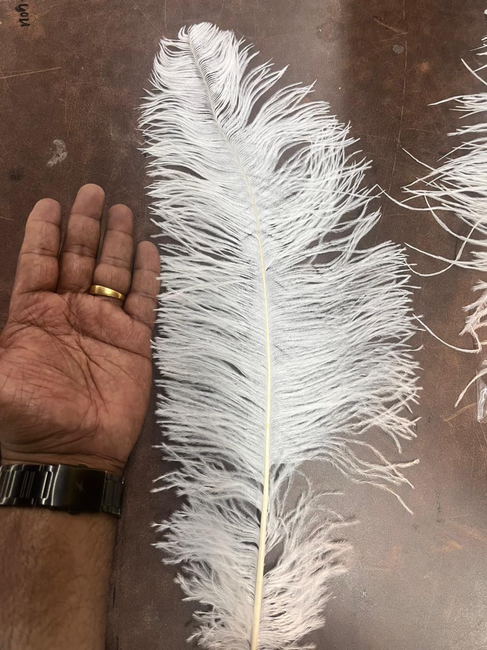Artificial Ostrich Feather for craft project in centimeter 1piece