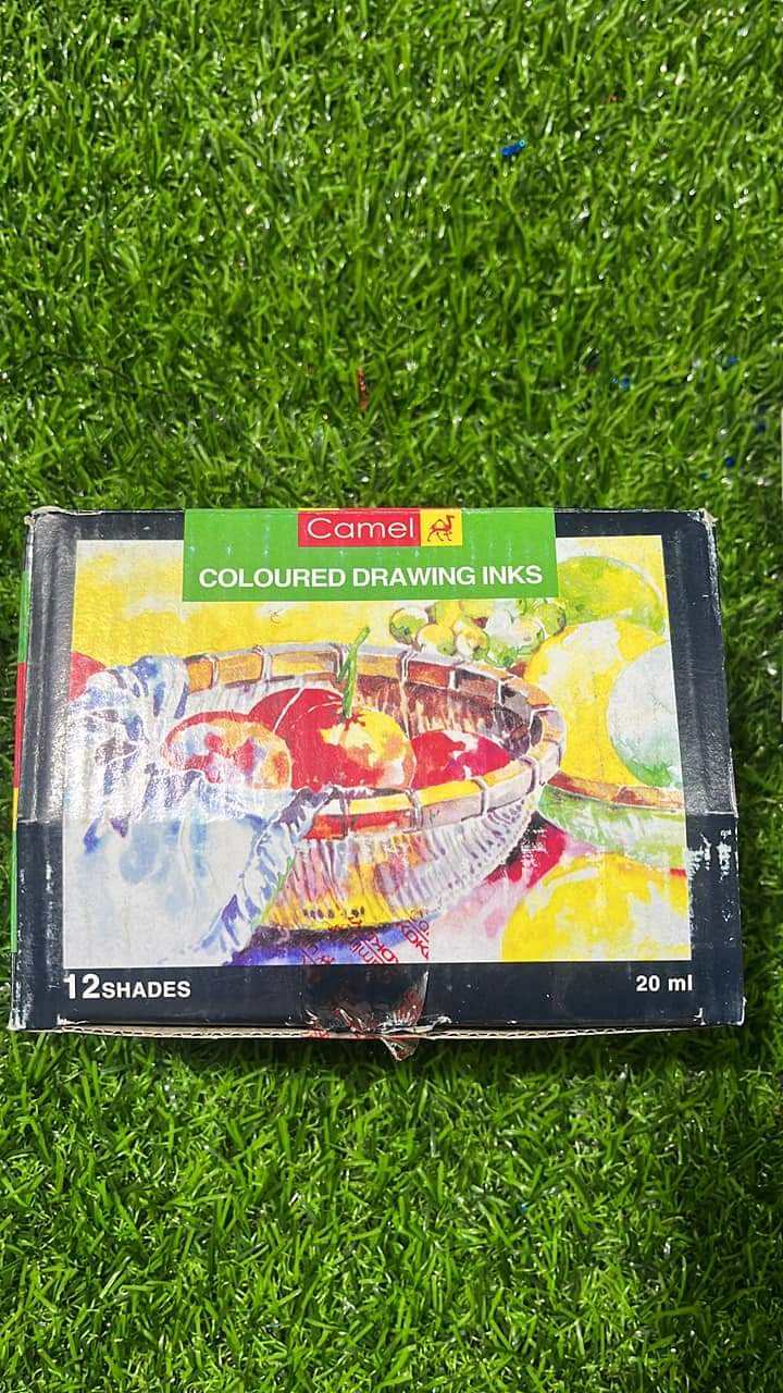 Camlin 12 shade drawing ink set – KnowHowArtCraft