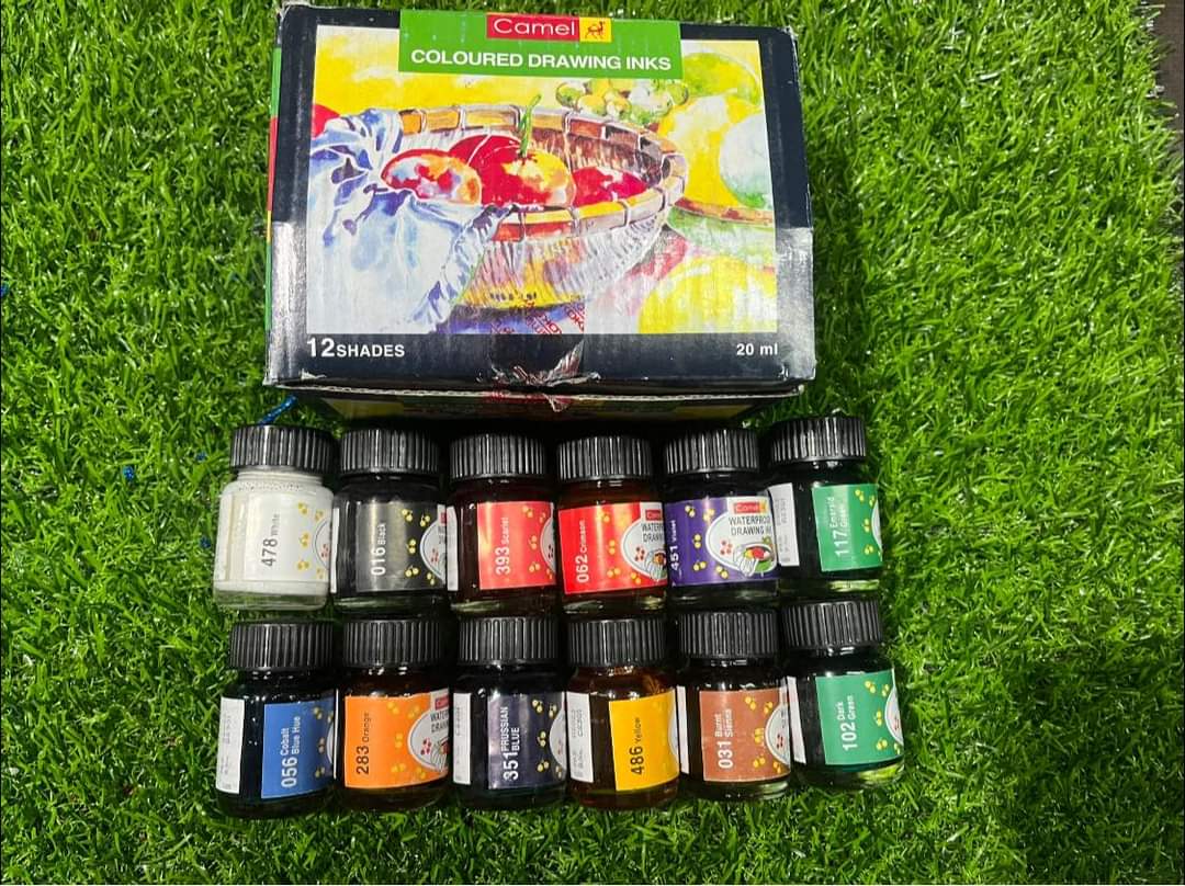 Camlin 12 shade drawing ink set