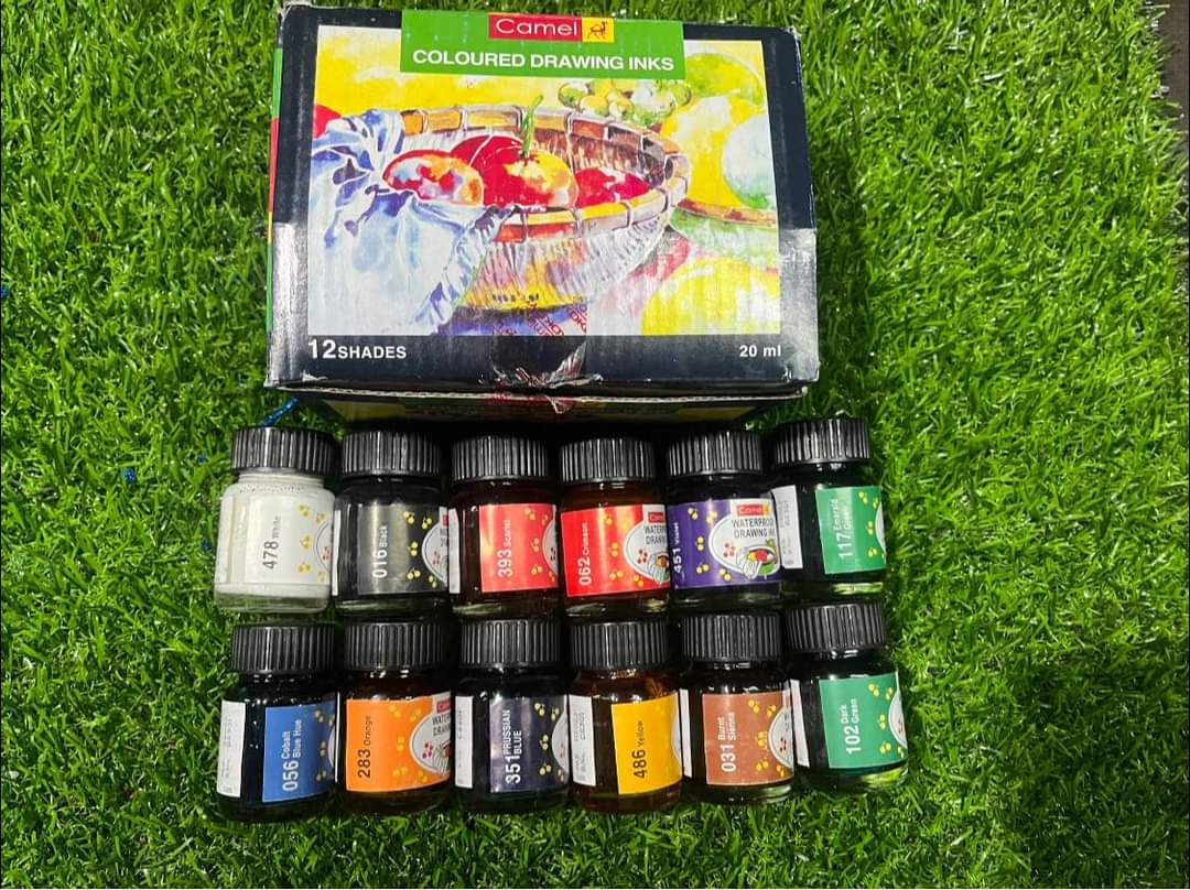 Camlin 12 shade drawing ink set – KnowHowArtCraft