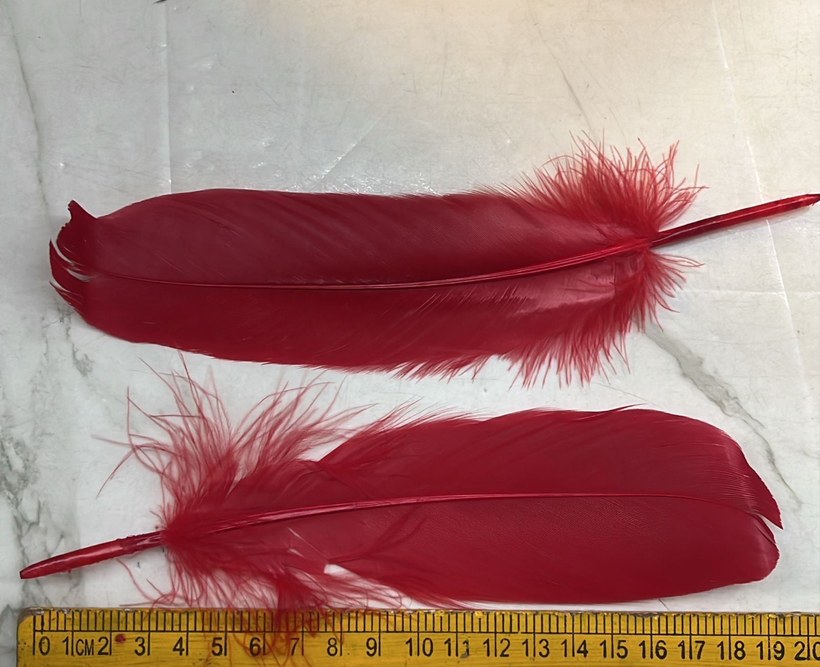 Feather Hard Big 20cm 10 piece pack-FHB