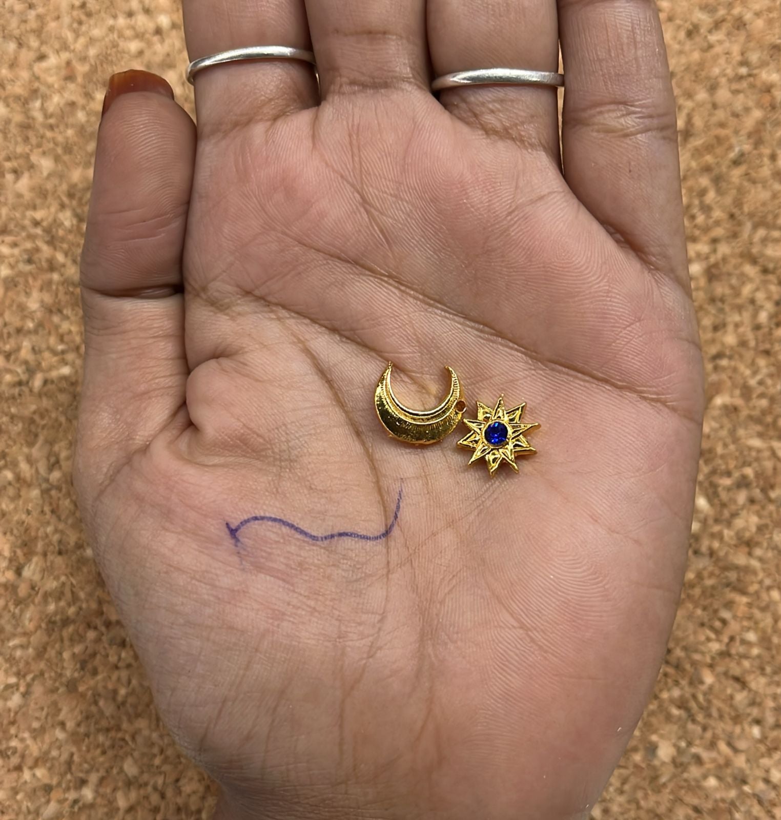 Suriyan Chandran plains Small-SCHPS