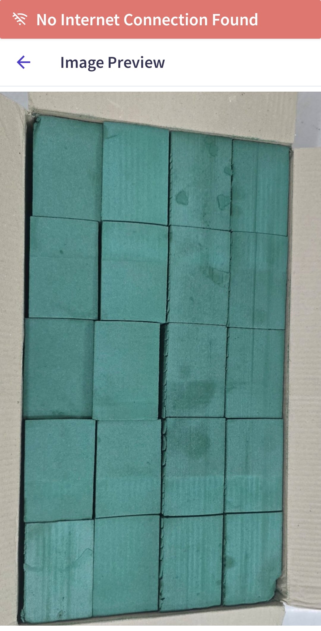 Freezia floral foam for flower decoration