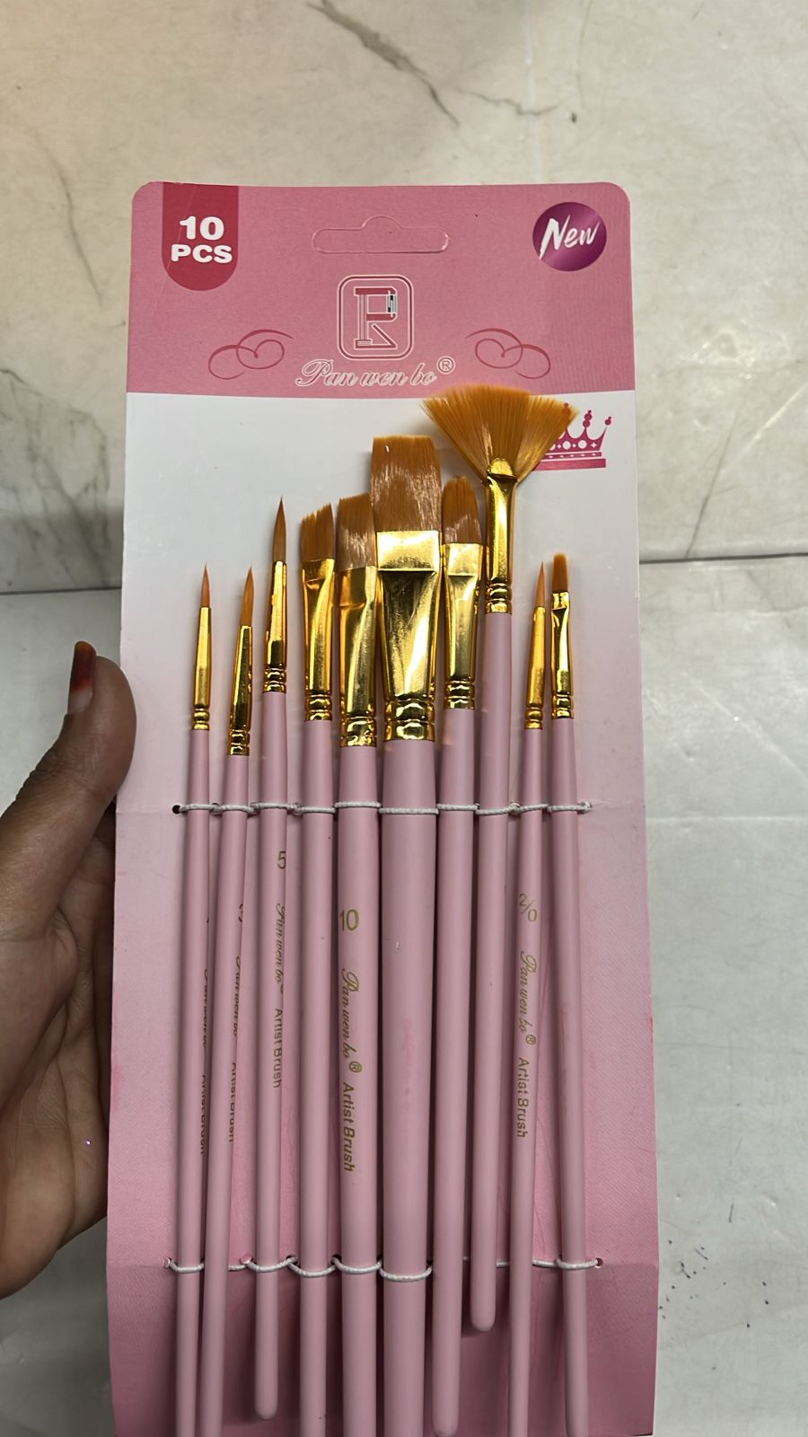 Pennalli multipurpose Artist 10 Brushes set -PAB10