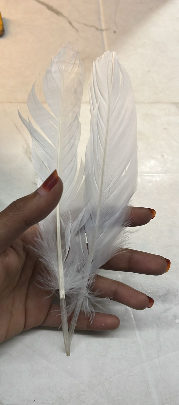 Feather Hard Big 20cm 10 piece pack-FHB