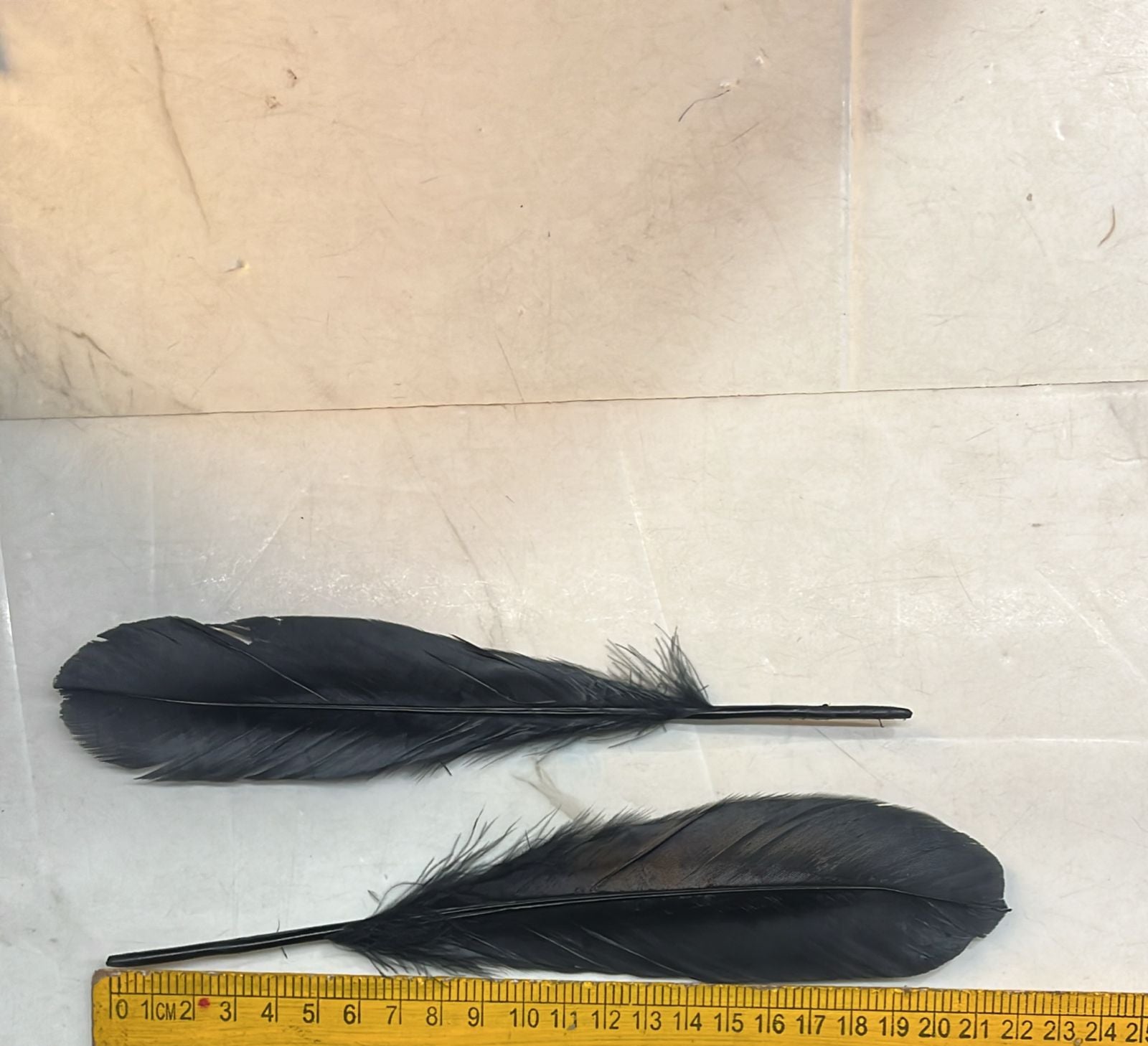 Feather Hard Big 20cm 10 piece pack-FHB