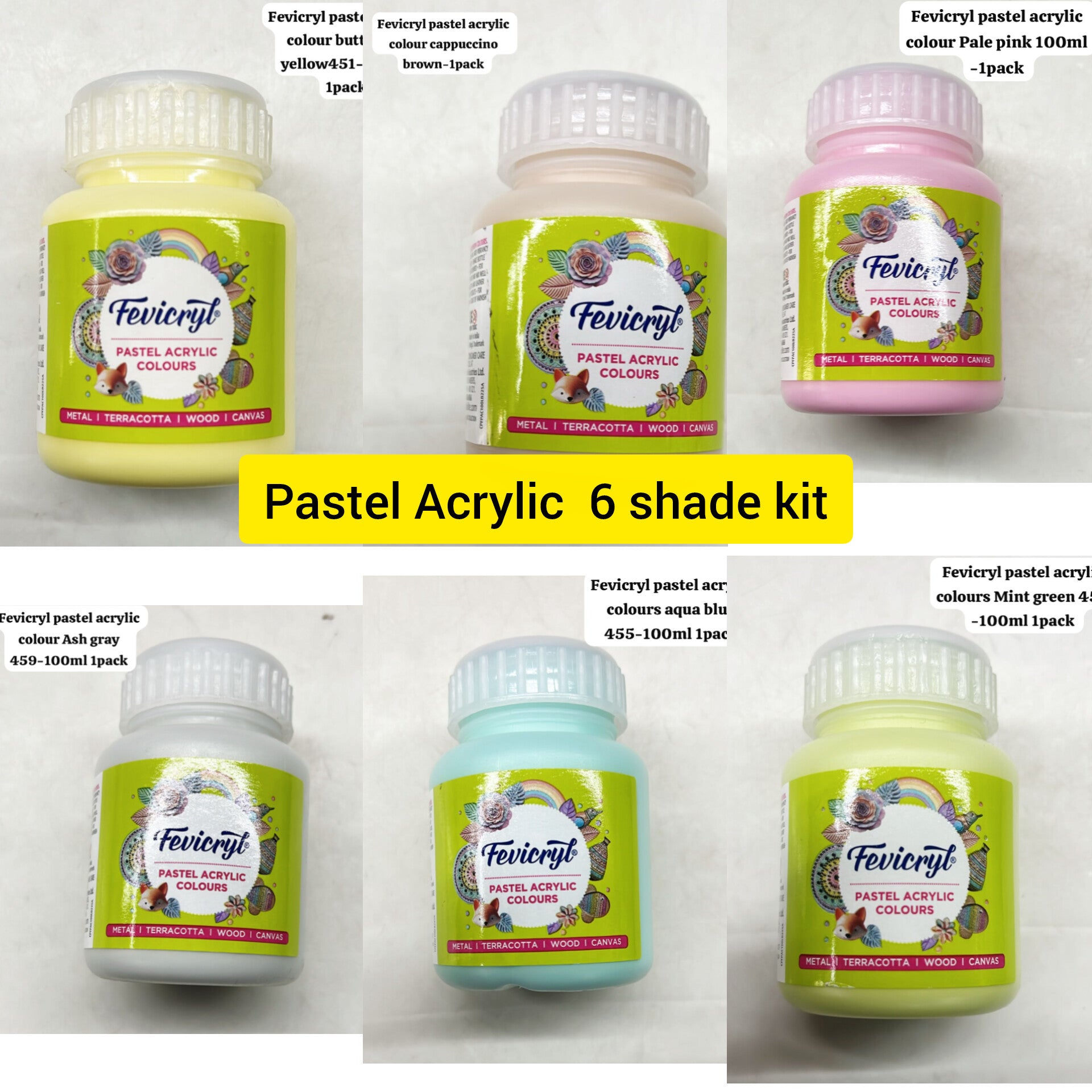 100ml Fevicryl pastel acrylic colours - 6 shades kit (free shipping this product only)