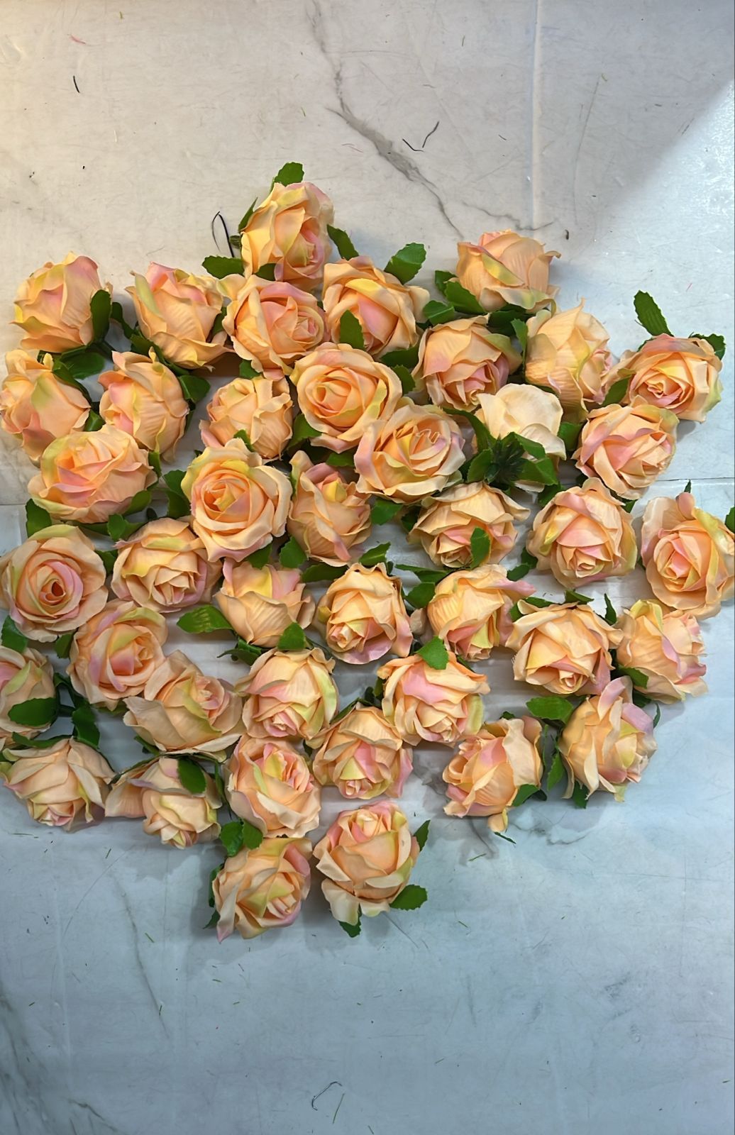 Mini Rose Peach 10 pieces _MRPS