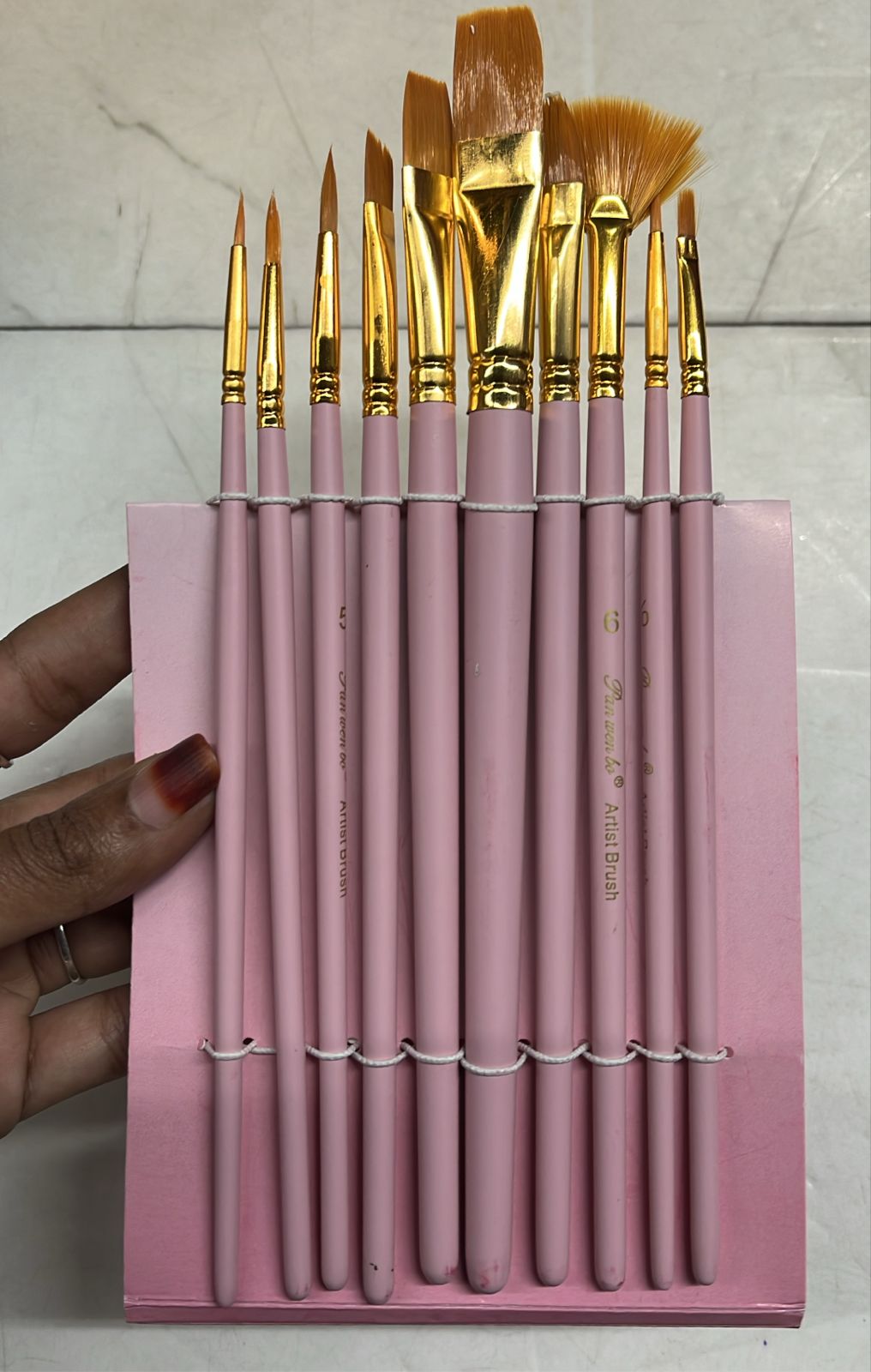 Pennalli multipurpose Artist 10 Brushes set -PAB10